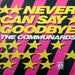 The Communards – Never Can Say Goodbye (LP, Vinyl Record Album)