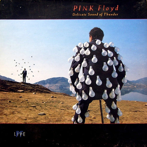 Pink Floyd – Delicate Sound Of Thunder (LP, Vinyl Record Album)