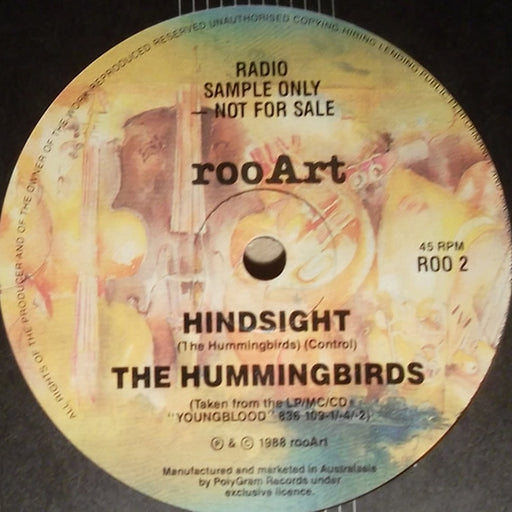 Hindsight / Unravelling – The Hummingbirds, Martha's Vineyard (LP, Vinyl Record Album)