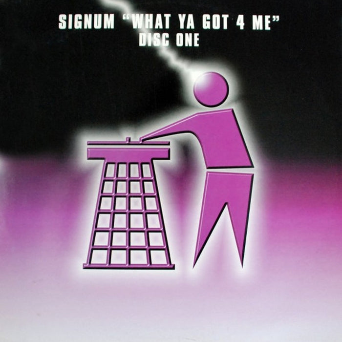 Signum – What Ya Got 4 Me (LP, Vinyl Record Album)