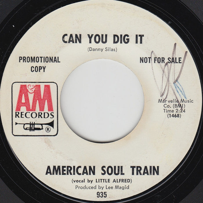 American Soul Train – Can You Dig It (LP, Vinyl Record Album)