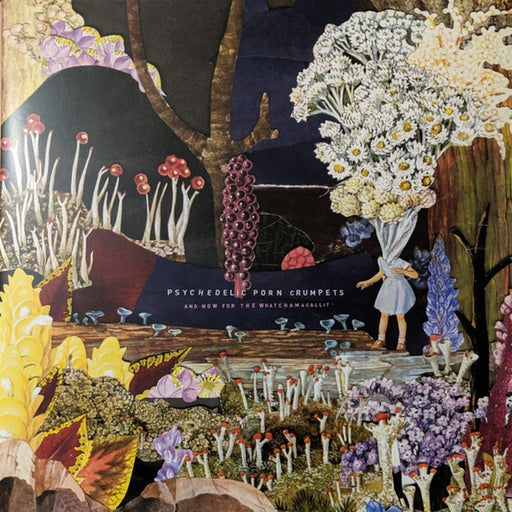 Psychedelic Porn Crumpets – And Now For The Whatchamacallit (LP, Vinyl Record Album)