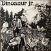 Dinosaur Jr. – Dinosaur (LP, Vinyl Record Album)