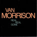 Van Morrison – Real Real Gone (LP, Vinyl Record Album)