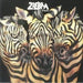 Zzebra – Panic (LP, Vinyl Record Album)