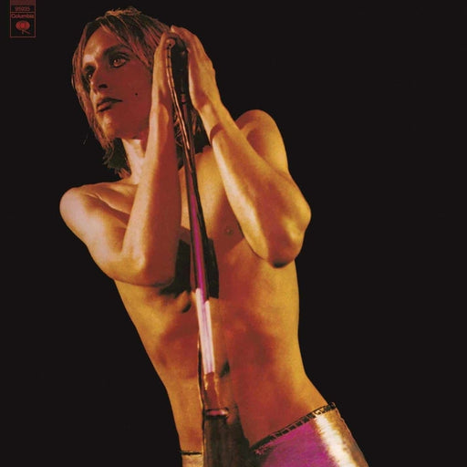 The Stooges – Raw Power (LP, Vinyl Record Album)