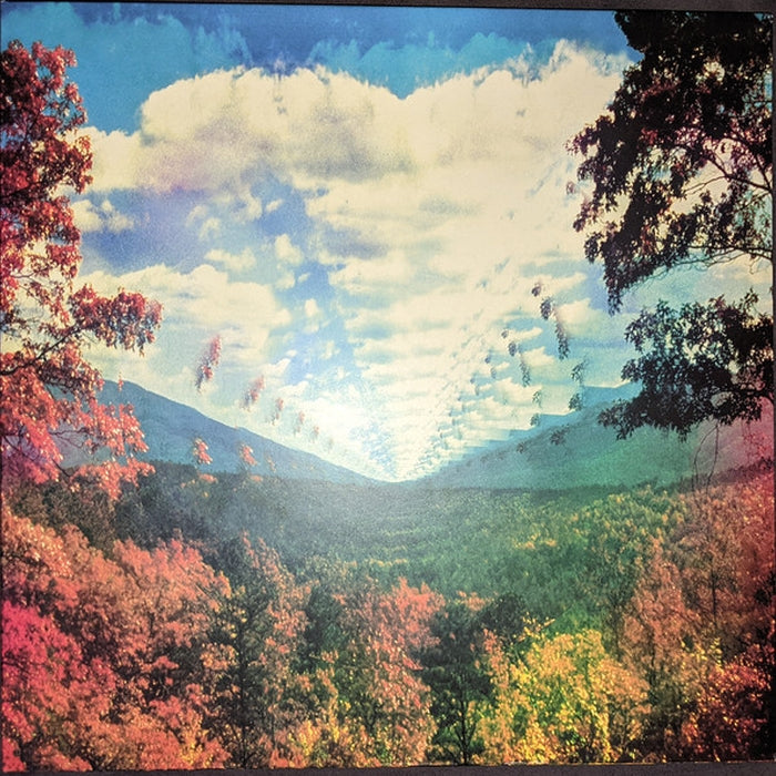 Tame Impala – Innerspeaker (2010 ➝ 2020) (LP, Vinyl Record Album)