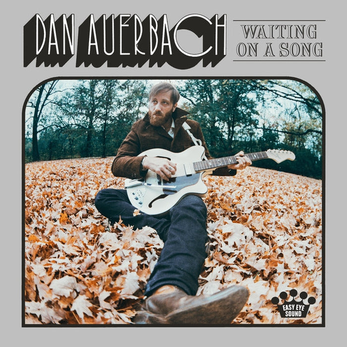 Dan Auerbach – Waiting On A Song (LP, Vinyl Record Album)