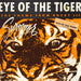 Survivor – Eye Of The Tiger (LP, Vinyl Record Album)