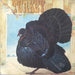 Wild Turkey – Turkey (LP, Vinyl Record Album)