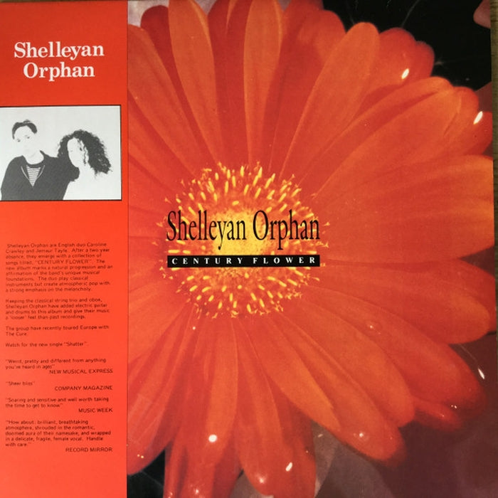 Shelleyan Orphan – Century Flower (LP, Vinyl Record Album)