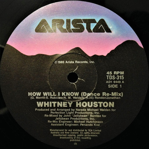 Whitney Houston – How Will I Know (LP, Vinyl Record Album)