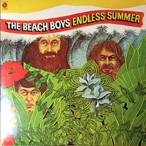 The Beach Boys – Endless Summer (LP, Vinyl Record Album)