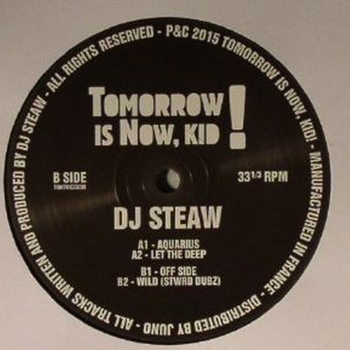 DJ Steaw – Aquarius EP (LP, Vinyl Record Album)