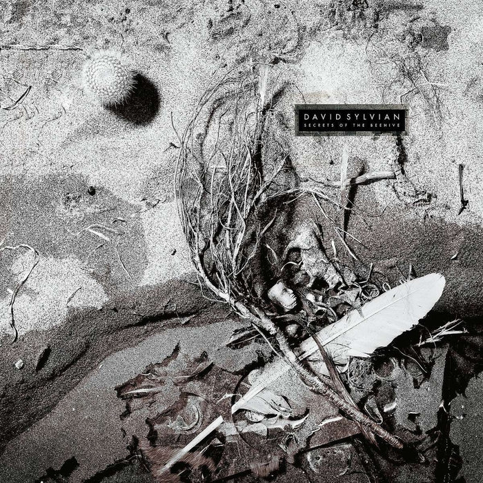 David Sylvian – Secrets Of The Beehive (LP, Vinyl Record Album)