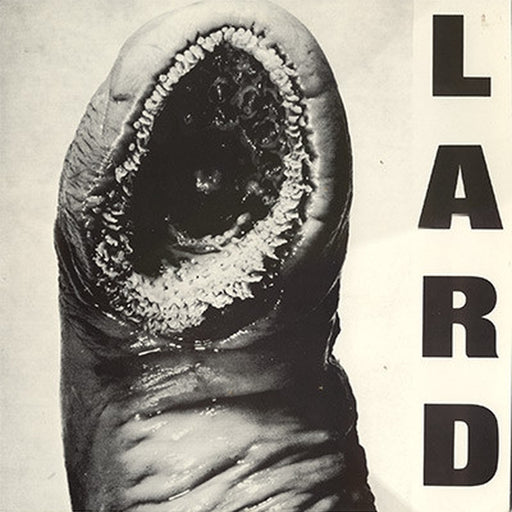 Lard – The Power Of Lard EP (LP, Vinyl Record Album)