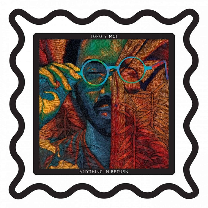 Toro Y Moi – Anything In Return (2xLP) (LP, Vinyl Record Album)