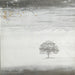 Genesis – Wind & Wuthering (LP, Vinyl Record Album)