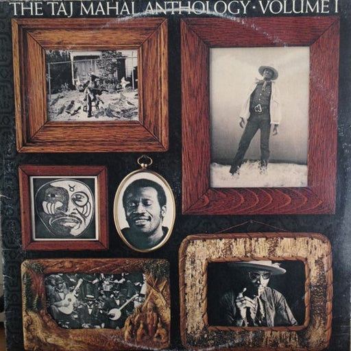 Taj Mahal – The Taj Mahal Anthology (Volume 1) (LP, Vinyl Record Album)