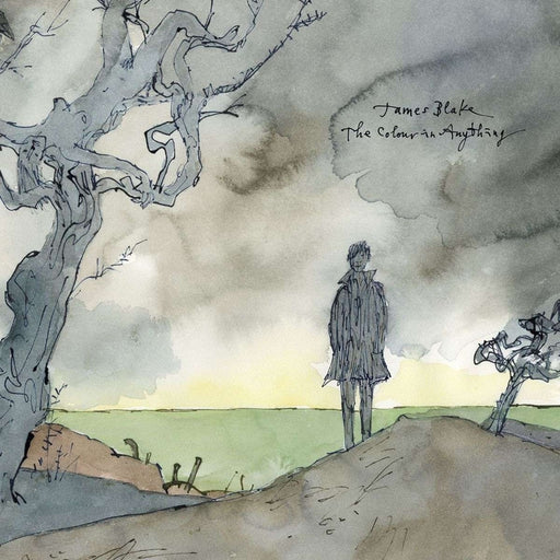 James Blake – The Colour In Anything (2xLP) (LP, Vinyl Record Album)