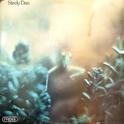 Steely Dan – Katy Lied (LP, Vinyl Record Album)