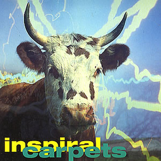 Inspiral Carpets – She Comes In The Fall (LP, Vinyl Record Album)