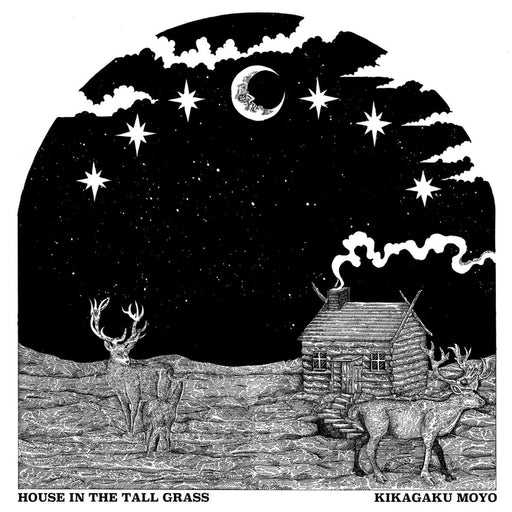 Kikagaku Moyo – House in the Tall Grass (LP, Vinyl Record Album)