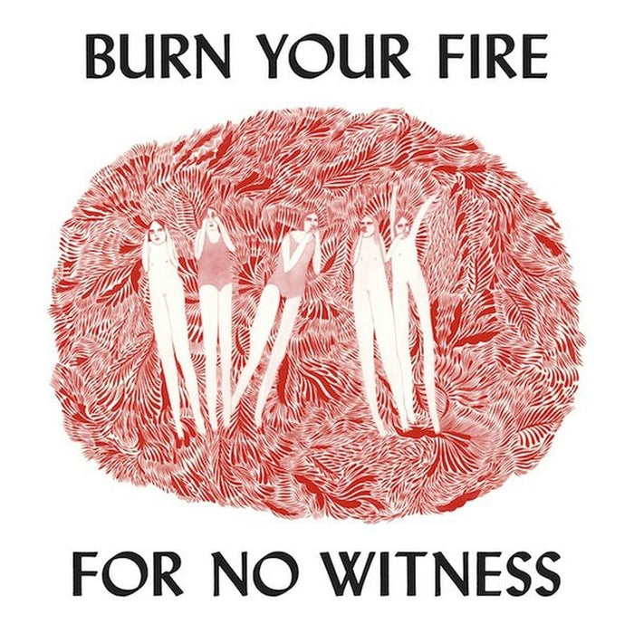 Angel Olsen – Burn Your Fire For No Witness (LP, Vinyl Record Album)