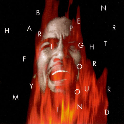 Fight For Your Mind – Ben Harper (LP, Vinyl Record Album)