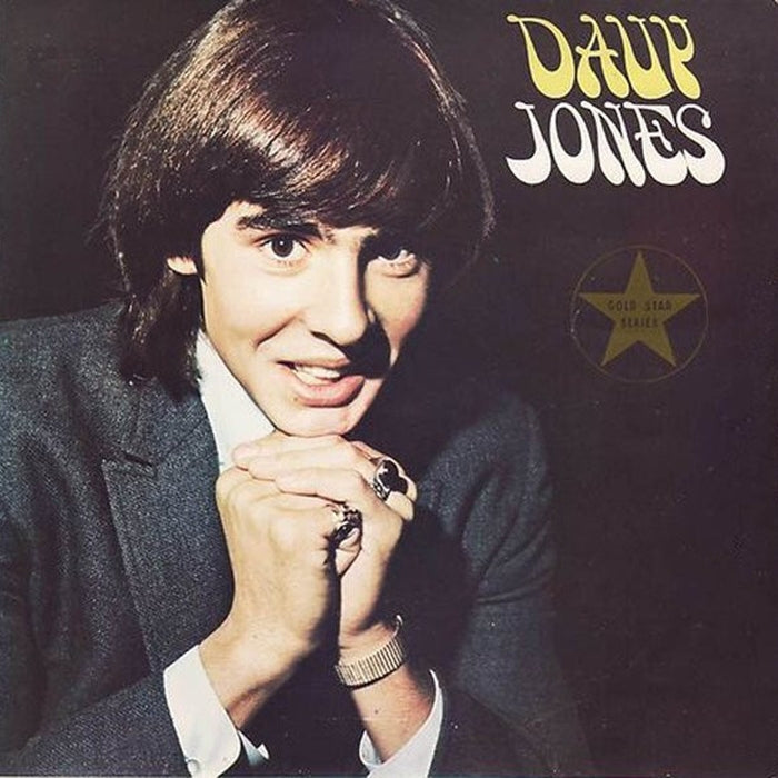 Davy Jones – Davy Jones (LP, Vinyl Record Album)