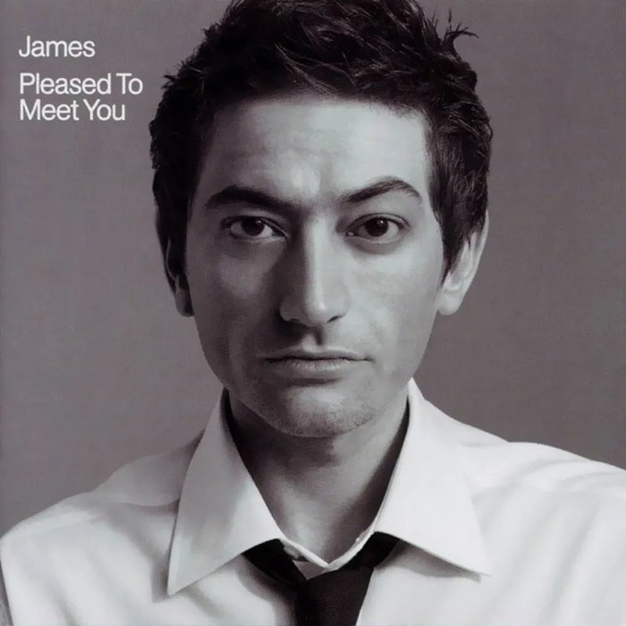 James – Pleased To Meet You (LP, Vinyl Record Album)