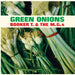 Booker T & The MG's – Green Onions (LP, Vinyl Record Album)