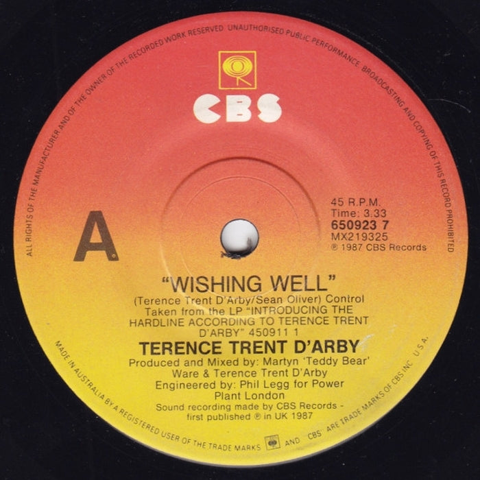 Terence Trent D'Arby – Wishing Well (LP, Vinyl Record Album)