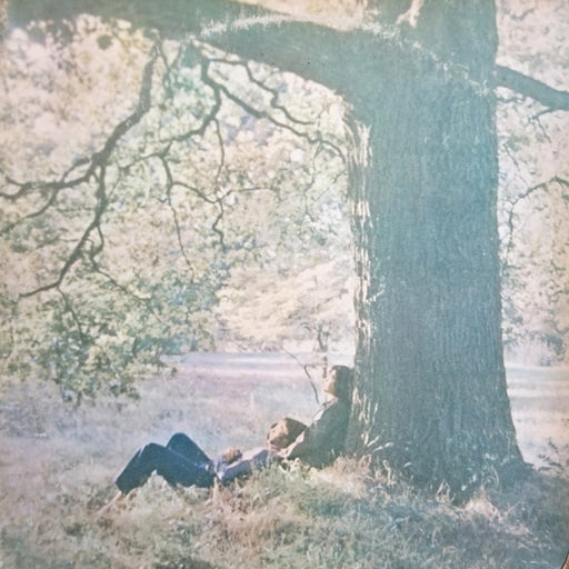 John Lennon, The Plastic Ono Band – John Lennon / Plastic Ono Band (LP, Vinyl Record Album)