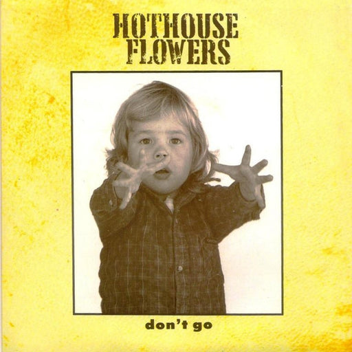 Hothouse Flowers – Don't Go (LP, Vinyl Record Album)