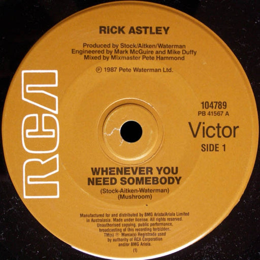 Rick Astley – Whenever You Need Somebody (LP, Vinyl Record Album)