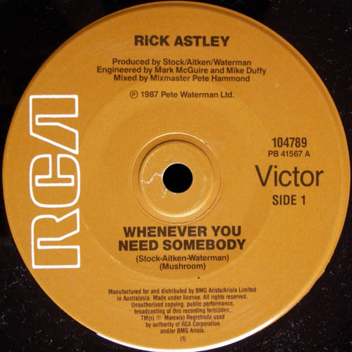 Rick Astley – Whenever You Need Somebody (LP, Vinyl Record Album)