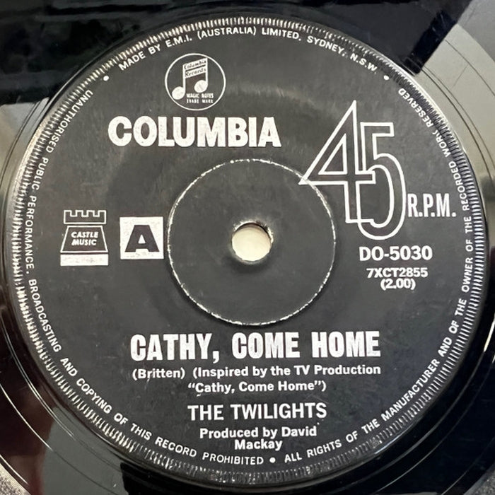 The Twilights – Cathy, Come Home / The Way They Play (LP, Vinyl Record Album)