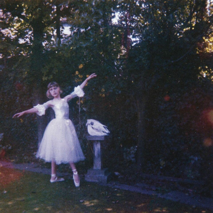 Wolf Alice – Visions Of A Life (LP, Vinyl Record Album)