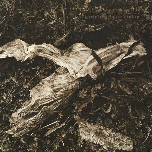 David Sylvian, Holger Czukay – Plight & Premonition (LP, Vinyl Record Album)