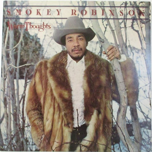 Smokey Robinson – Warm Thoughts (LP, Vinyl Record Album)