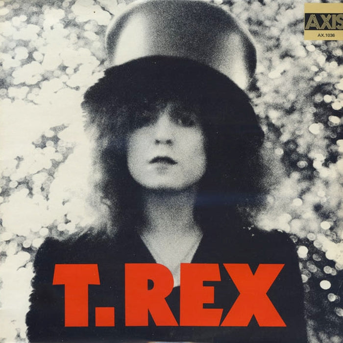 T. Rex – The Slider (LP, Vinyl Record Album)