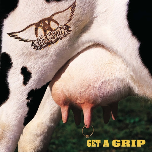 Aerosmith – Get A Grip (2xLP) (LP, Vinyl Record Album)