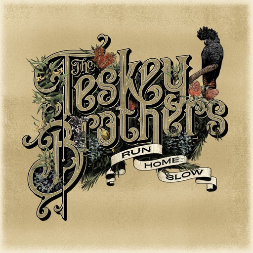 The Teskey Brothers – Run Home Slow (LP, Vinyl Record Album)