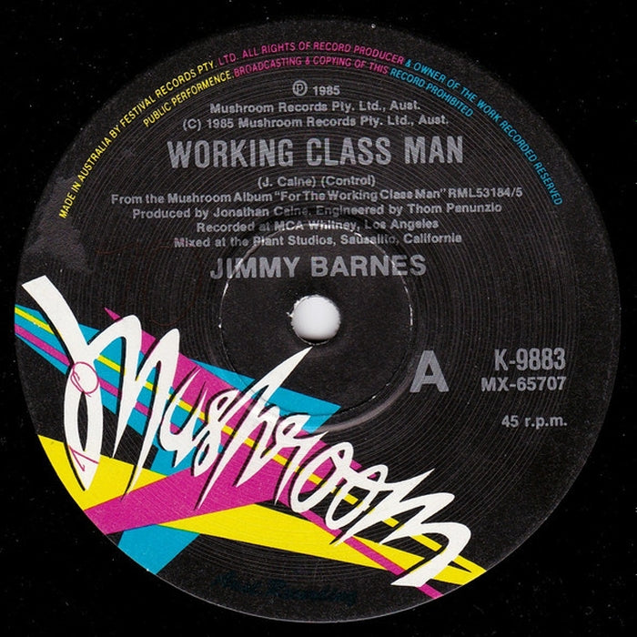 Jimmy Barnes – Working Class Man (LP, Vinyl Record Album)