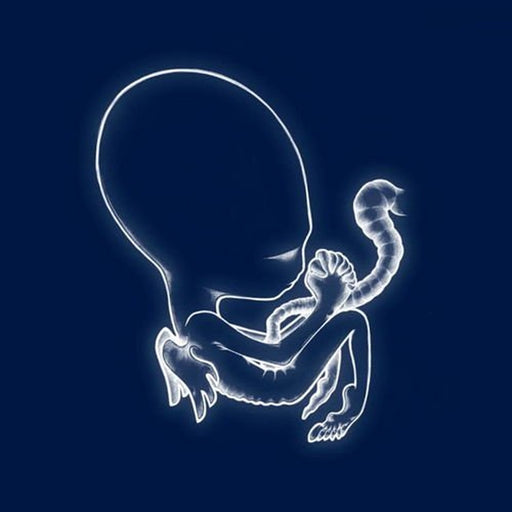 Sigur Rós – Ágætis Byrjun (LP, Vinyl Record Album)