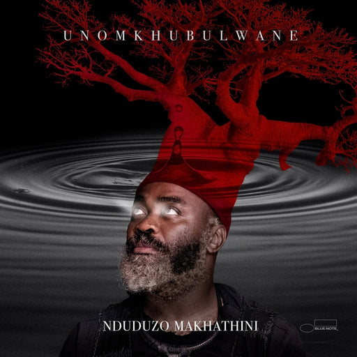 Nduduzo Makhathini – Unomkhubulwane (2xLP) (LP, Vinyl Record Album)