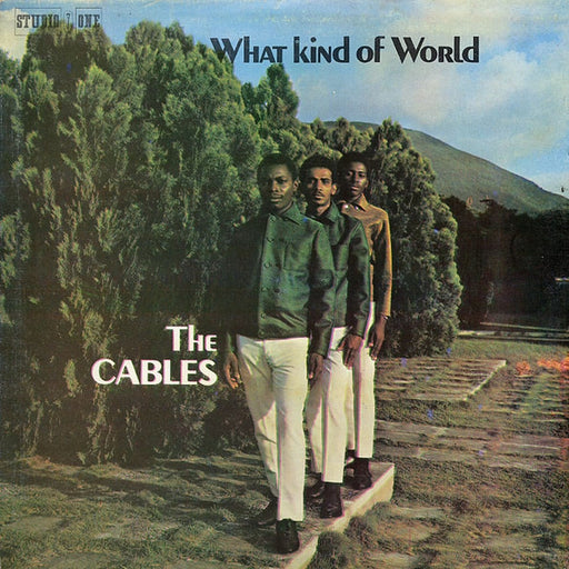 The Cables – What Kind Of World (LP, Vinyl Record Album)