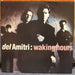 Del Amitri – Waking Hours (LP, Vinyl Record Album)