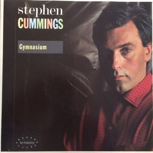 Stephen Cummings – Gymnasium (LP, Vinyl Record Album)